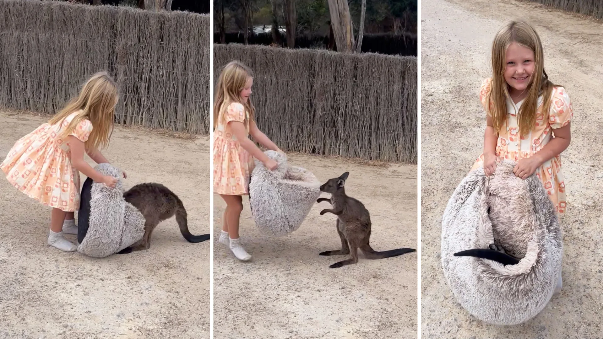 Girl helping pick up kangaroo