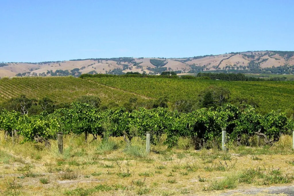 mclaren vale vineyards adelaide