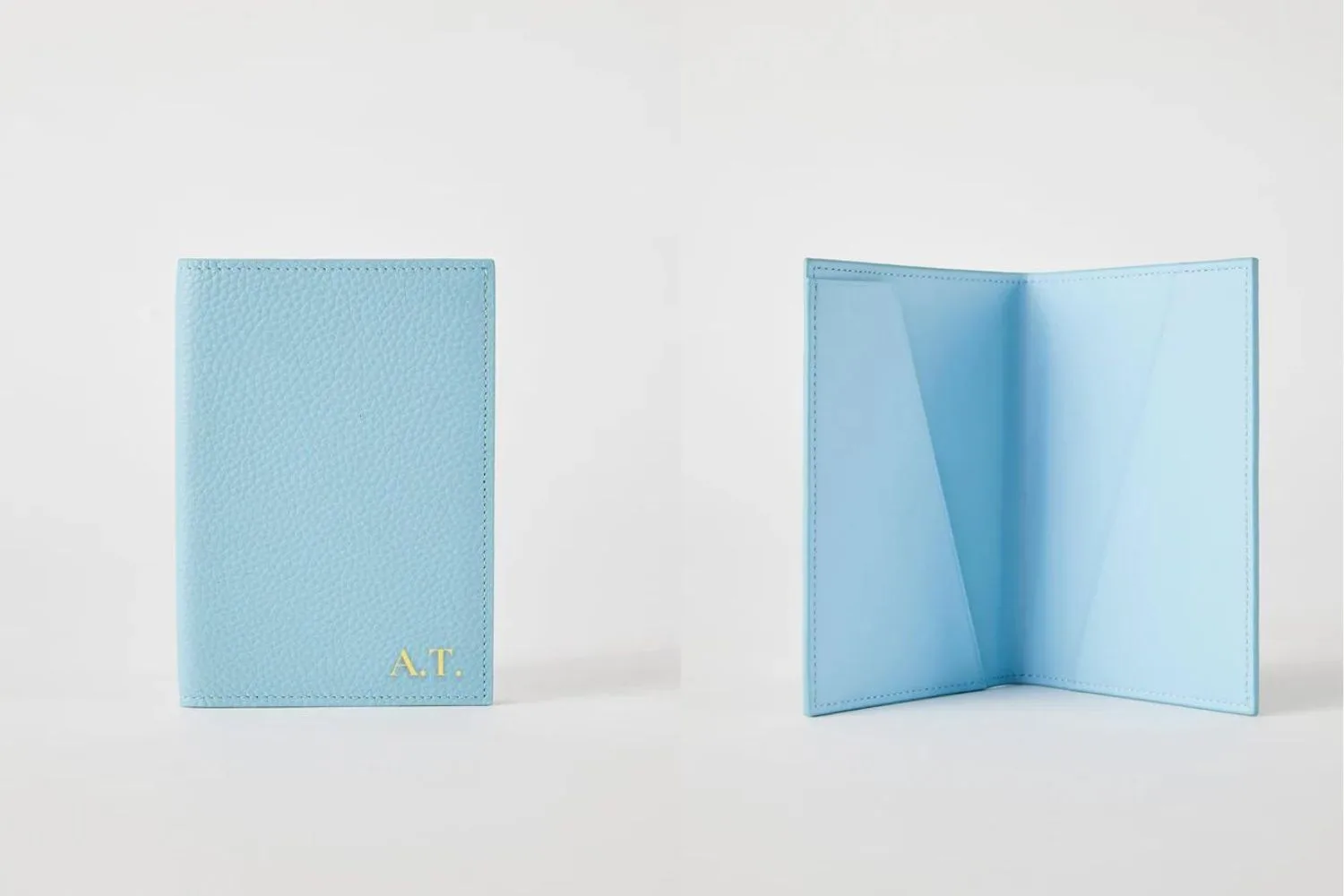 blue passport holder from mon purse.