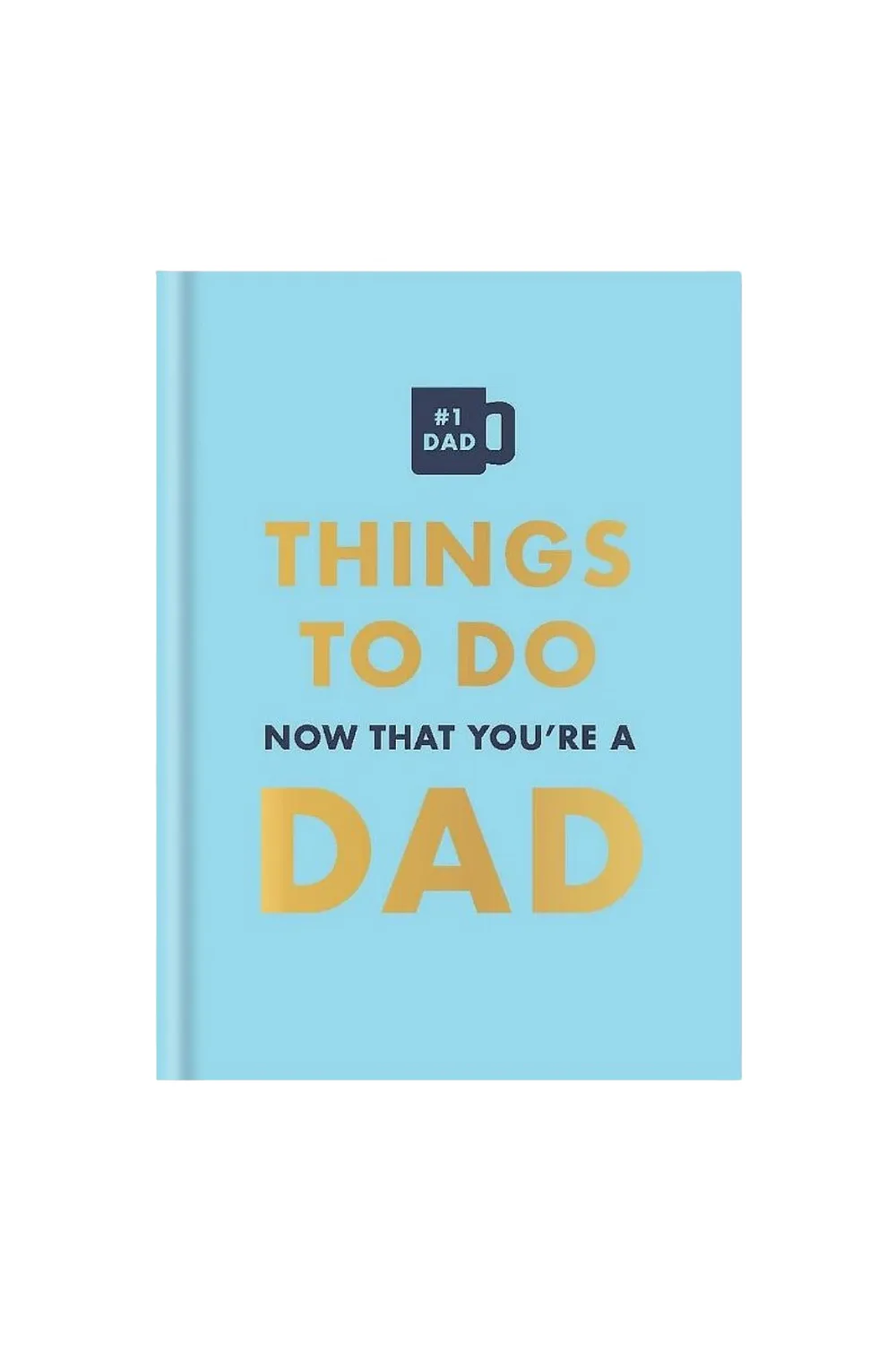 things to do now that you're a dad book by hachette 