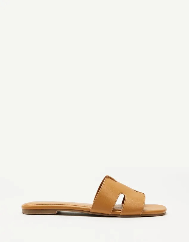 Spurr Slides