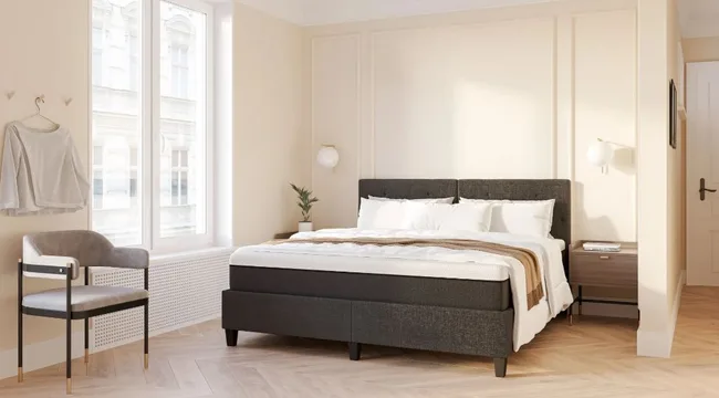 Modern beige bedroom with large windows, a gray upholstered bed, white linens, and a nightstand with a plant and lamp.