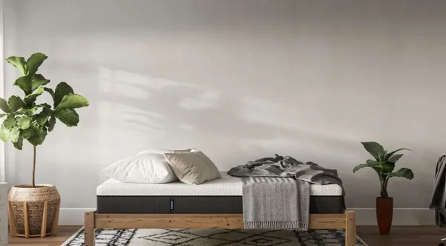 Bed with white pillows and a gray blanket in a minimalist room with plants and natural light.