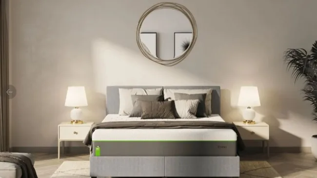 Modern bedroom design with a grey bed, layered pillows, round mirror, lamps on nightstands, and a plant in the corner.