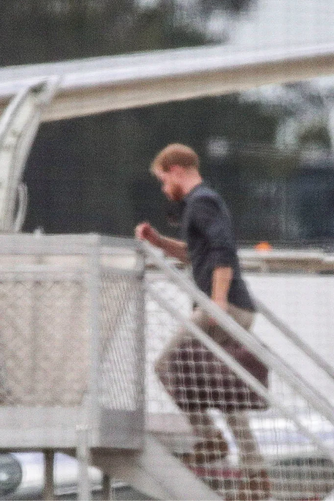 Prince Harry