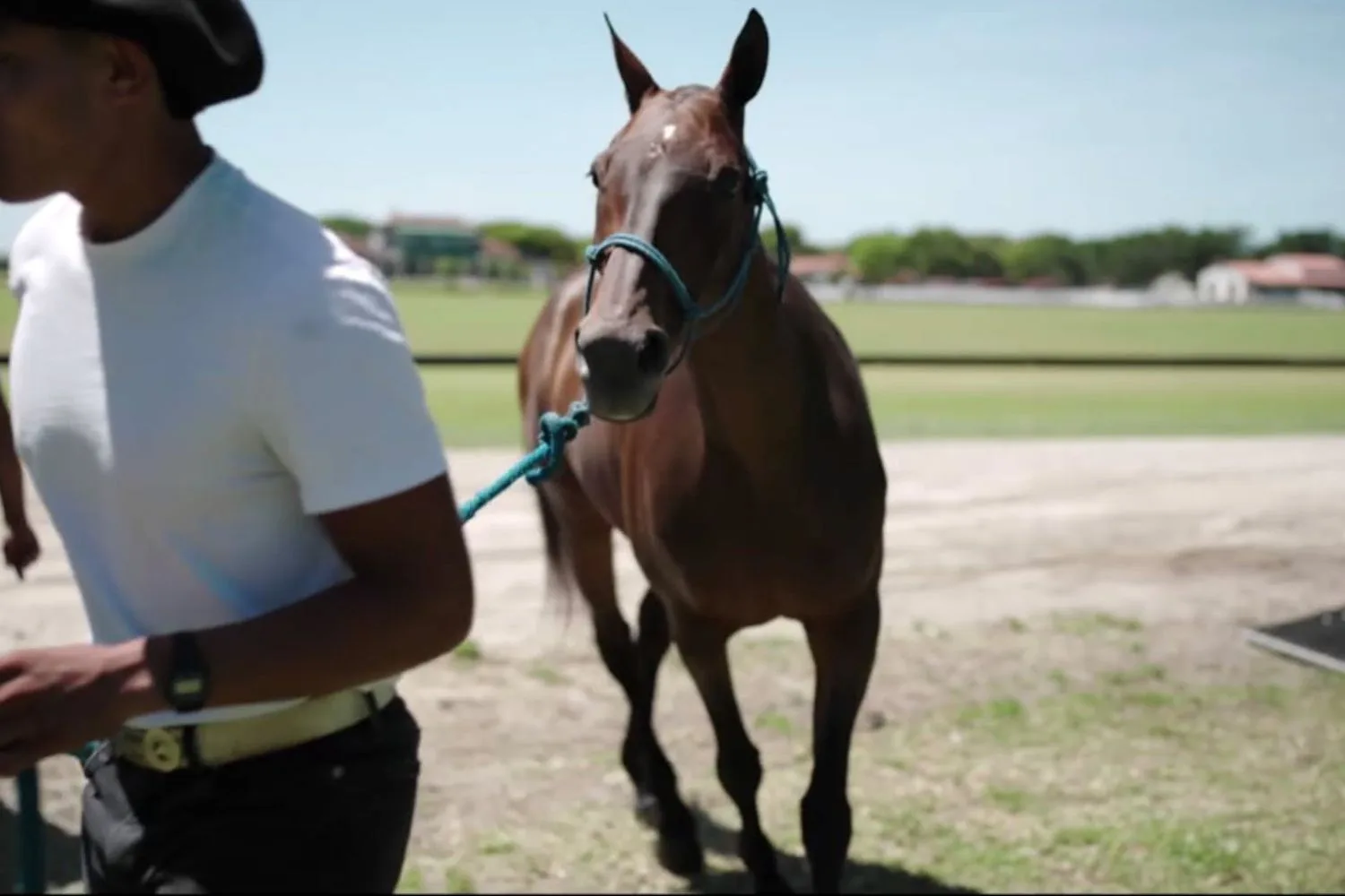 polo netflix series prince harry