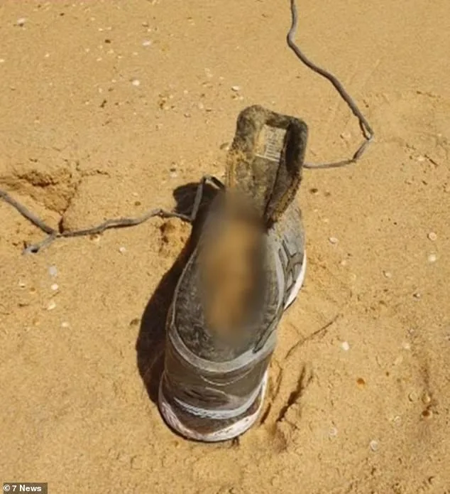 Melissa Caddick running shoe