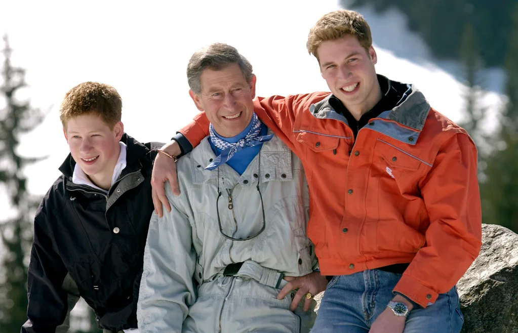 prince harry prince william king charles