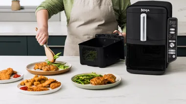 ninja doublestack airfryer