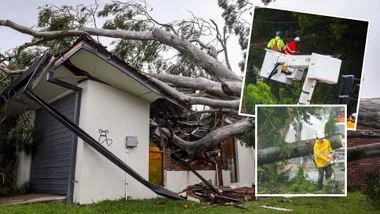 Surviving Cyclone Alfred: “There’s a huge job ahead”