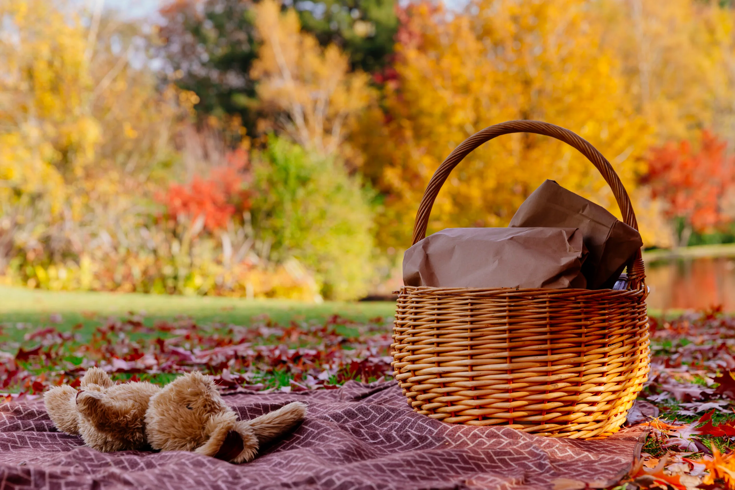 A picnic basket and rug laid out in a park during Autumn.