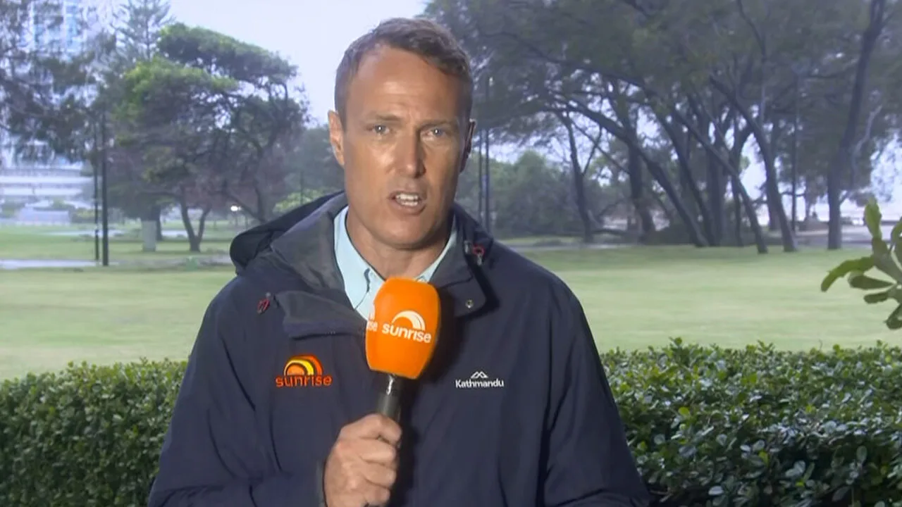 shirvo reporting on sunrise
