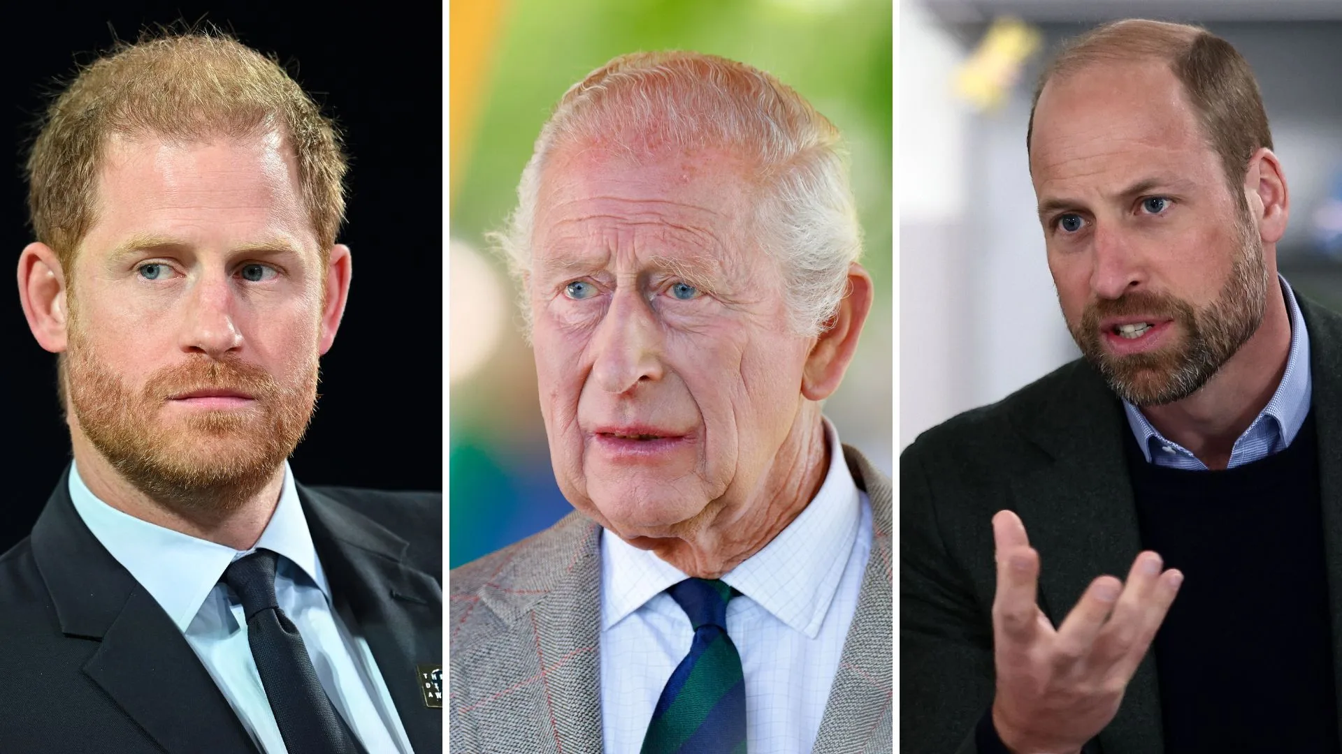 Prince Harry King Charles Prince William