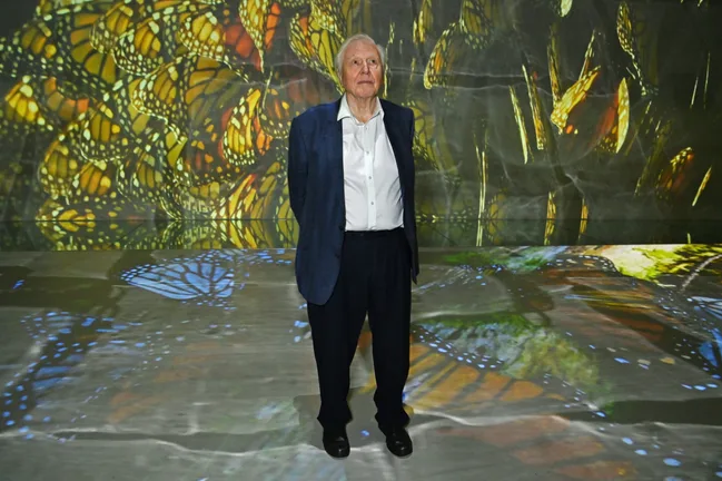 David Attenborough