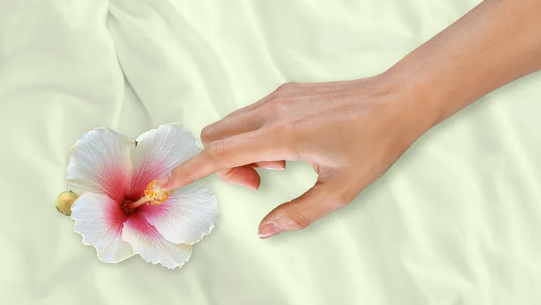 Woman's hand touching flower
