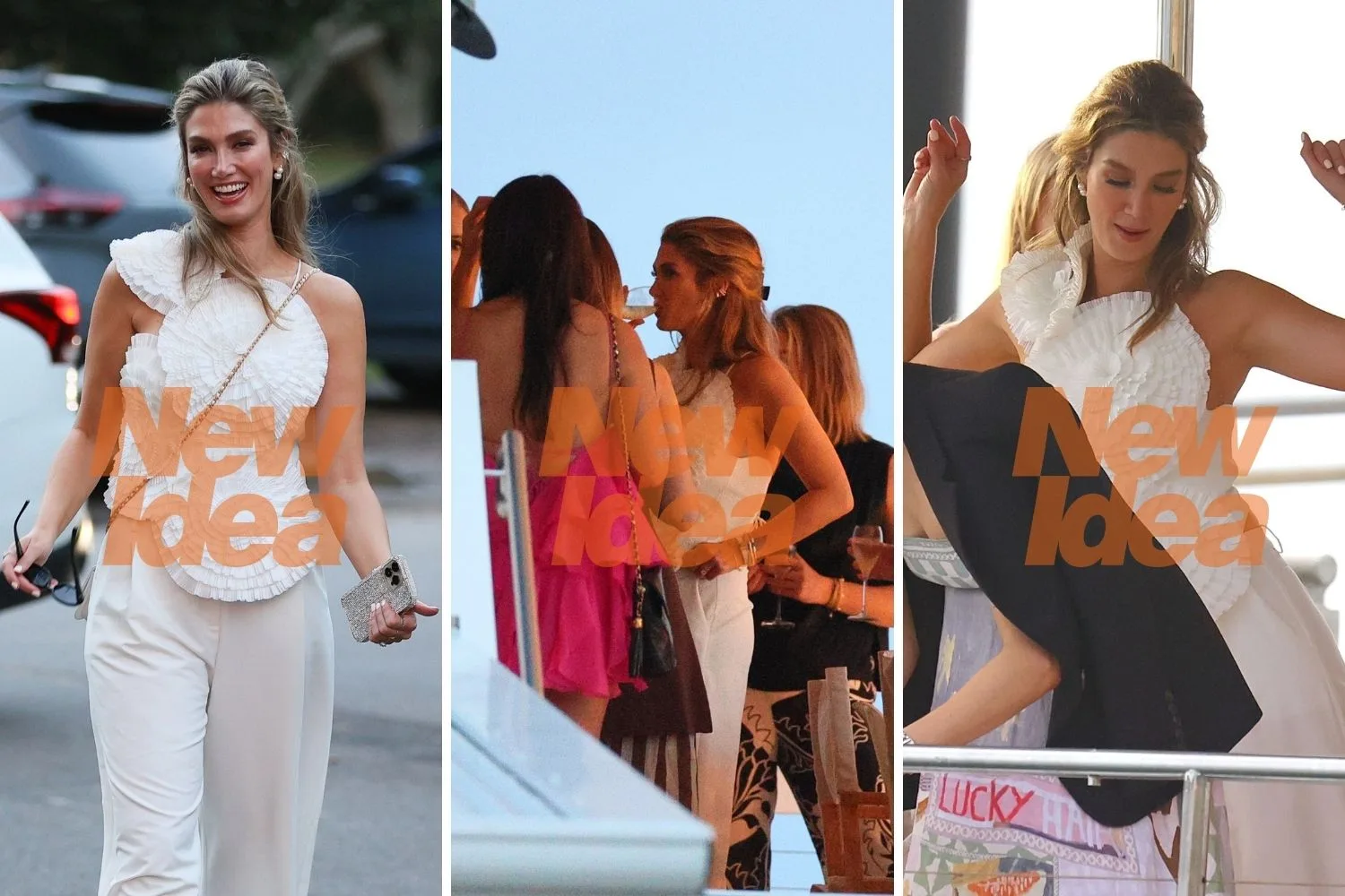 delta goodrem hens