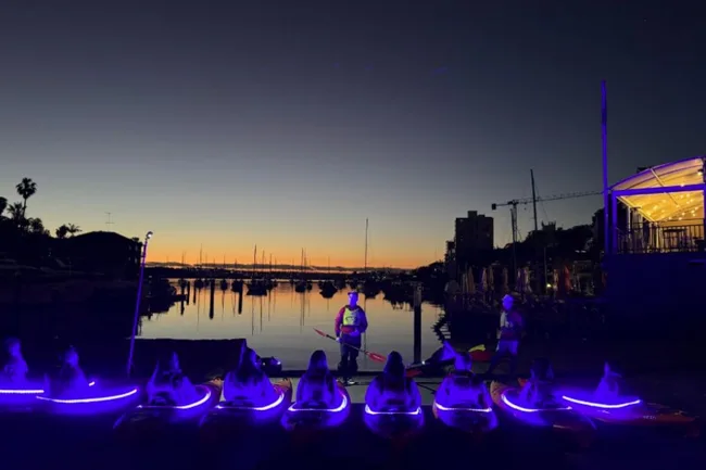 vidi sydney kayak