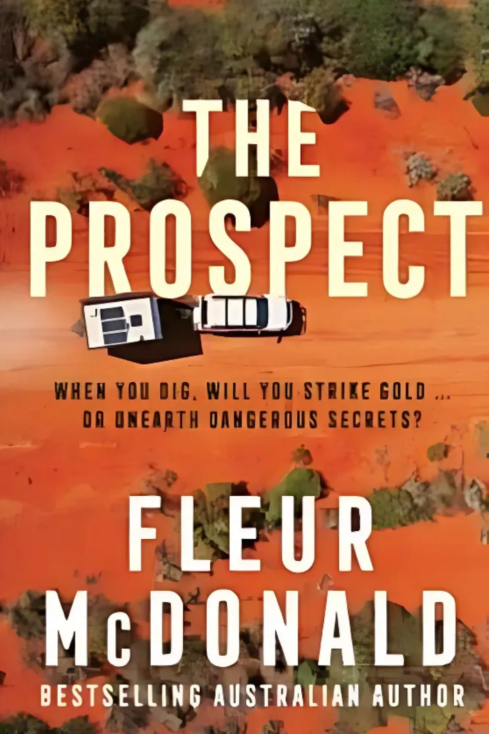 The Prospect by Fleur McDonald