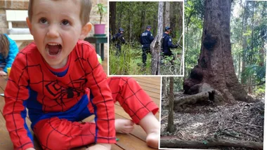 New person of interest named in William Tyrrell investigation