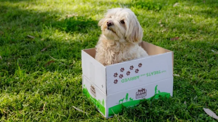 CLEAR Dog Treats