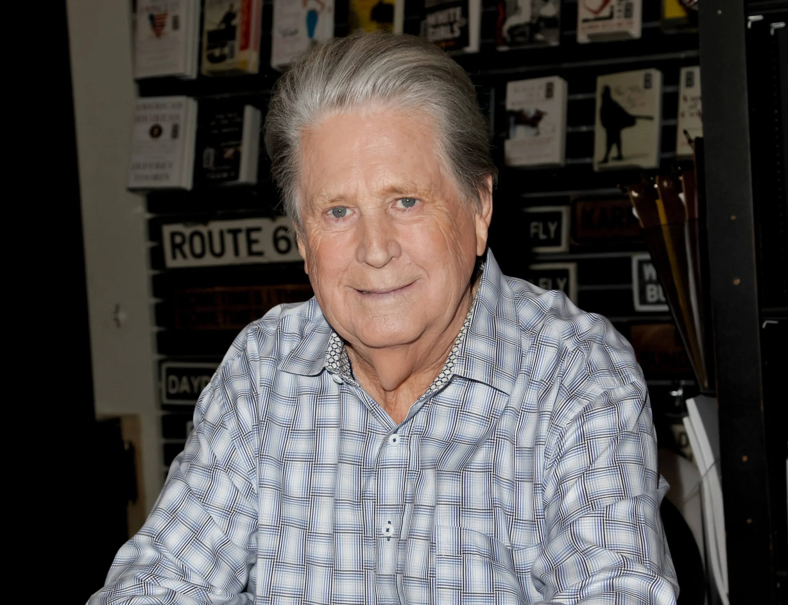 brian wilson the beach boys