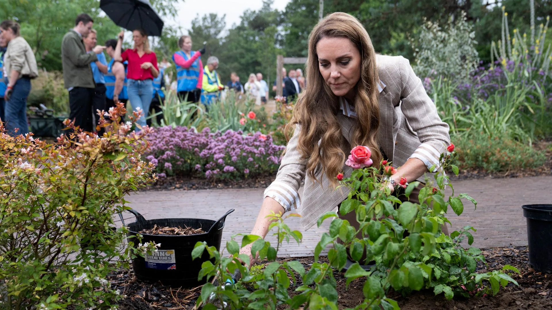 Princess Catherine planting a rose in a garden