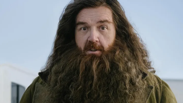 Nick Frost Harry Potter series as Hagrid