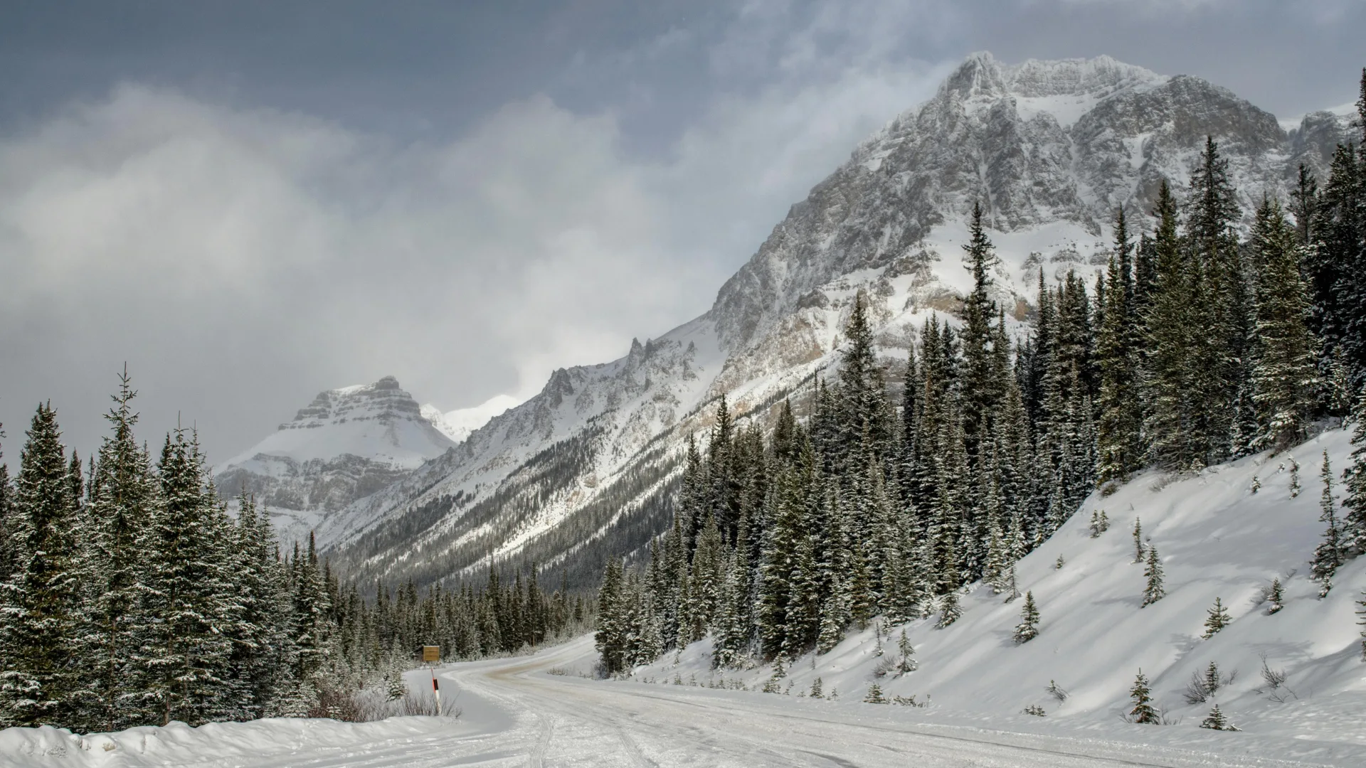Jasper in winter