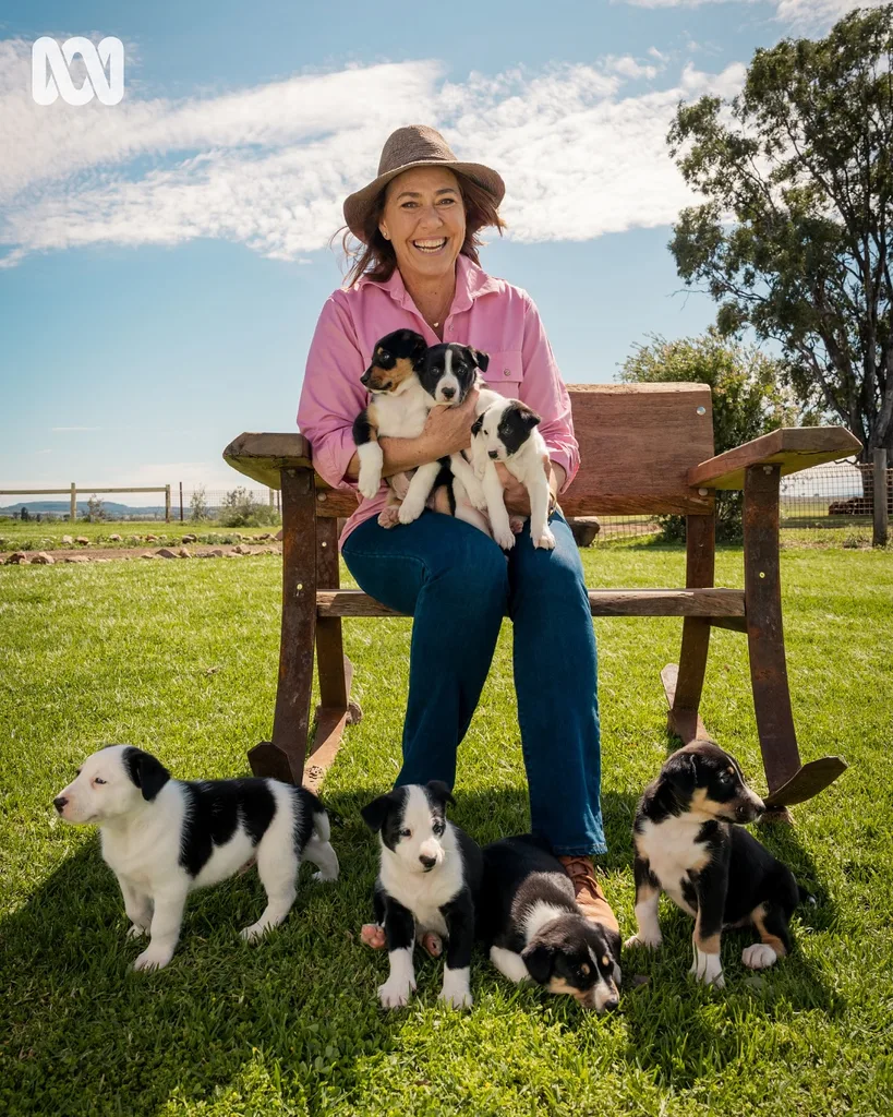 Muster Dogs