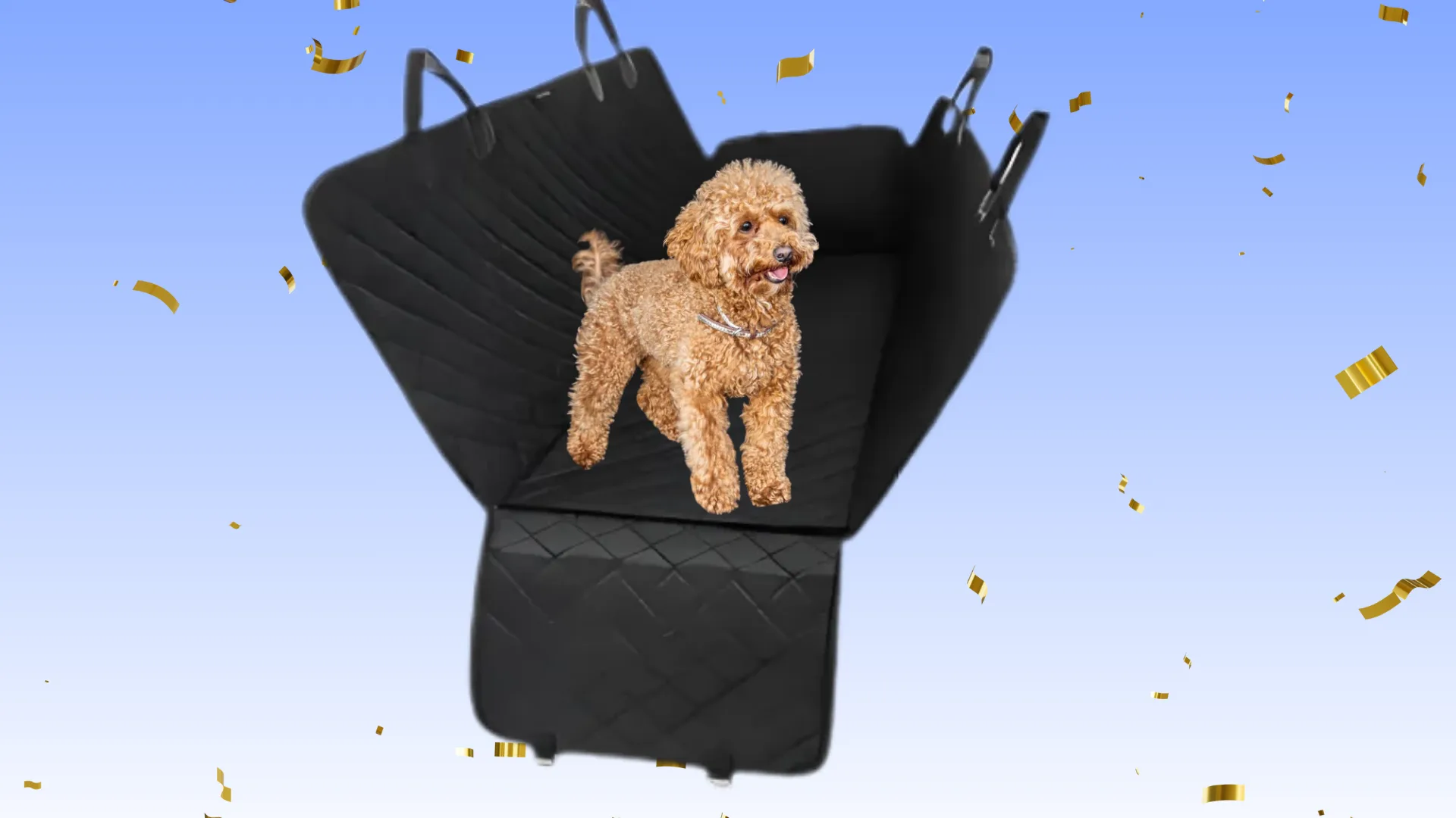 Dog in car cover seat