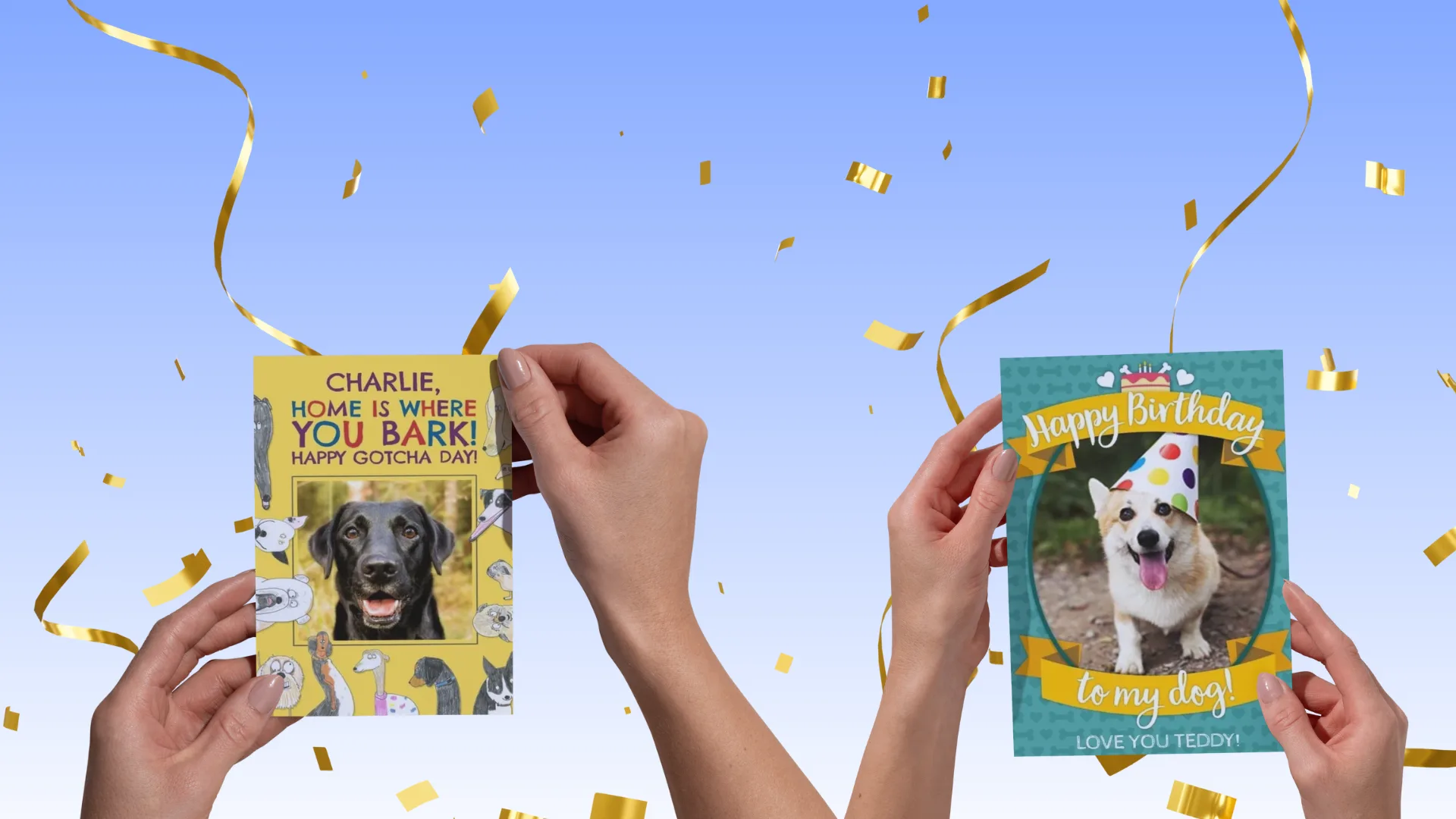 Pet celebratory cards