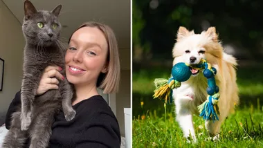Pet Products on Amazon