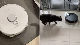 Roborock vs Narwal robot vacuums