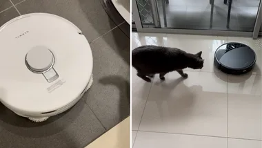 Roborock vs Narwal robot vacuums