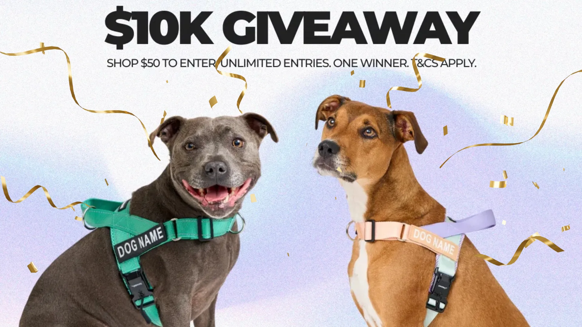 Pawezy cash giveaway