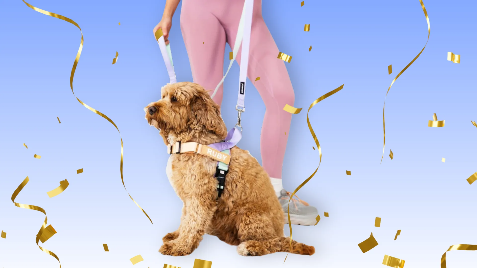 Dog wearing pastel harness kit