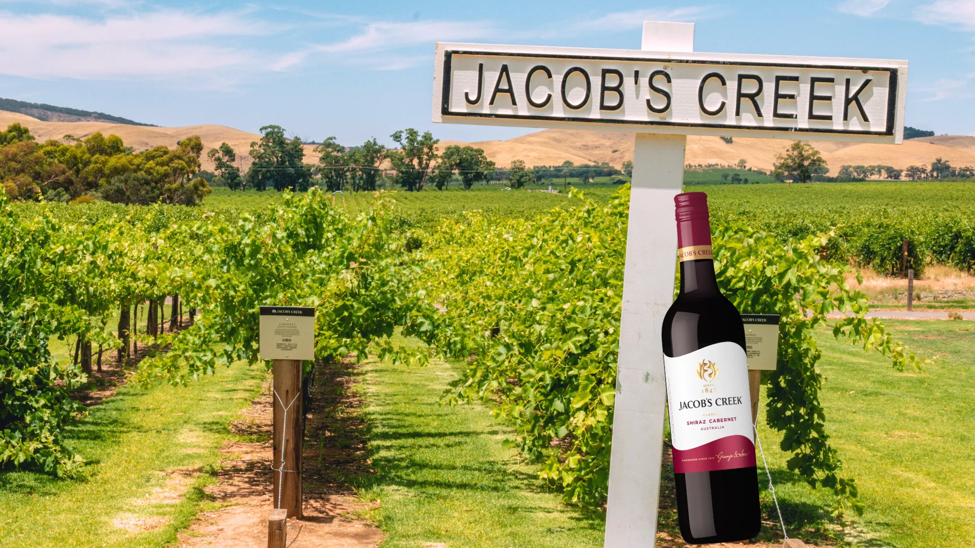 Jacob's Creek vineyard