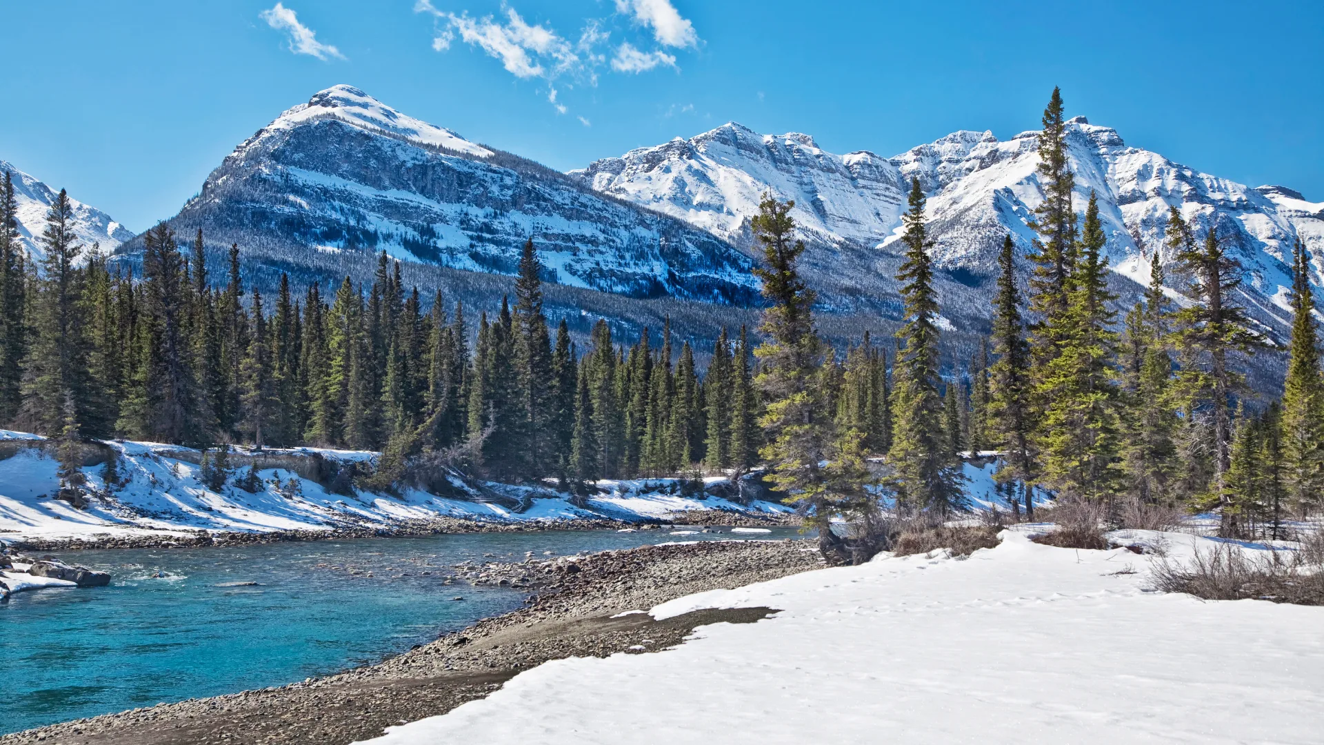 Jasper in winter