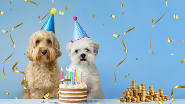 Every good dog deserves a treat on their birthday – how about an extra $10k to splash?