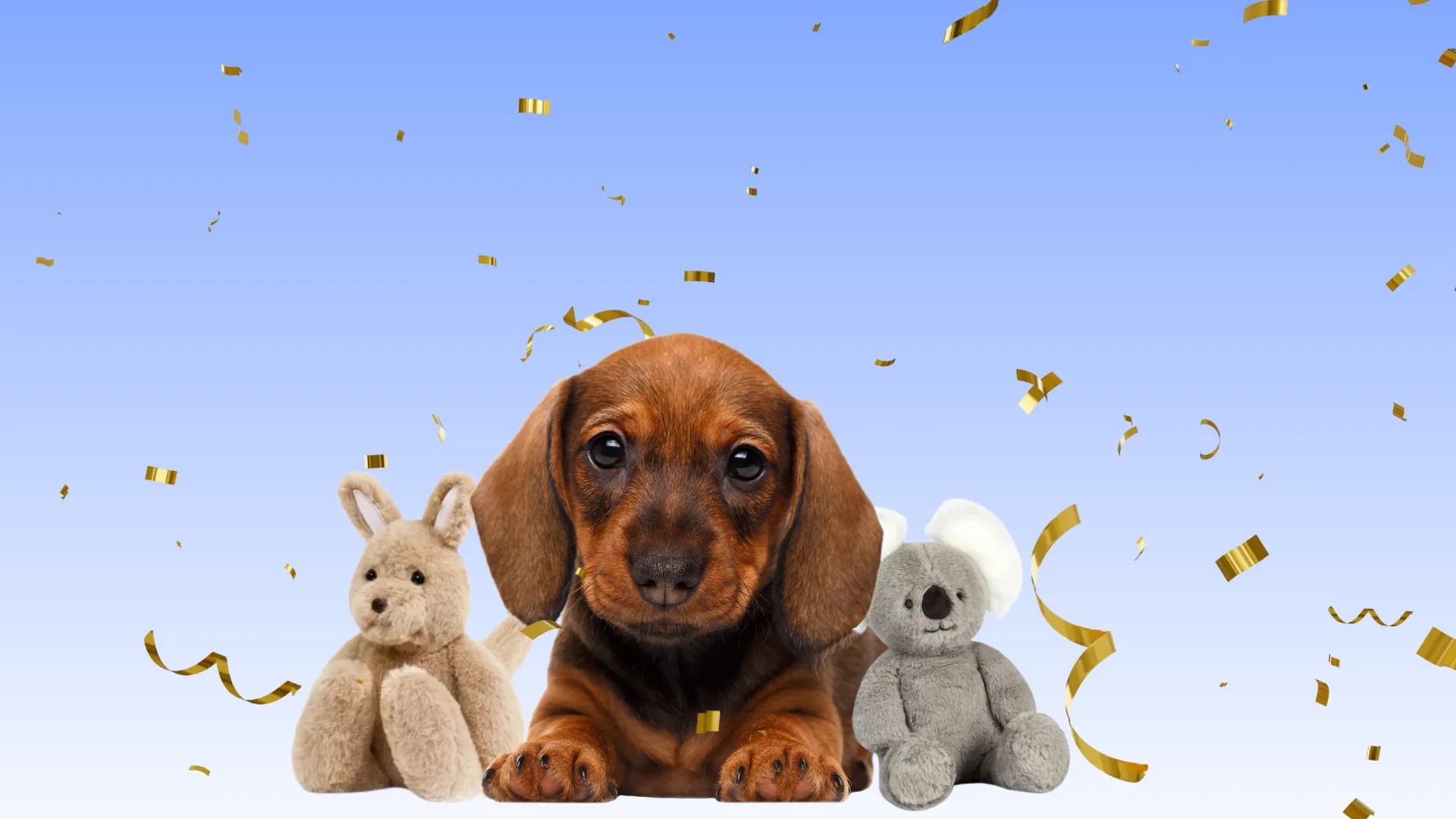 Puppy with stuffed animals
