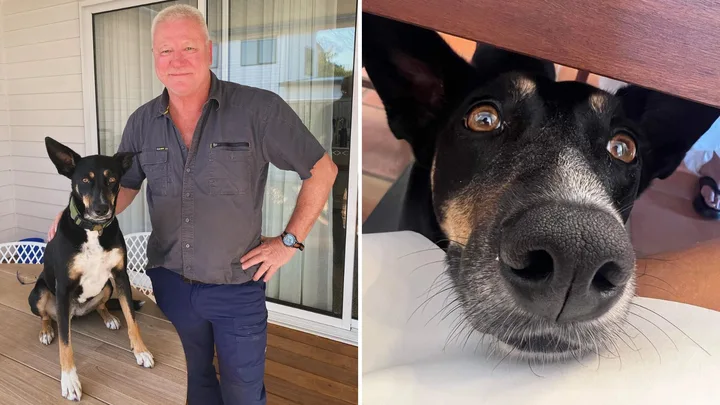 The Block star Scott Cam pictured with his dog