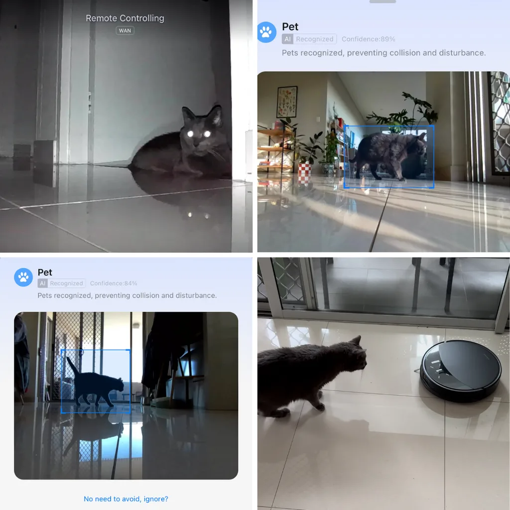 Photos of cat from the roborock vacuum