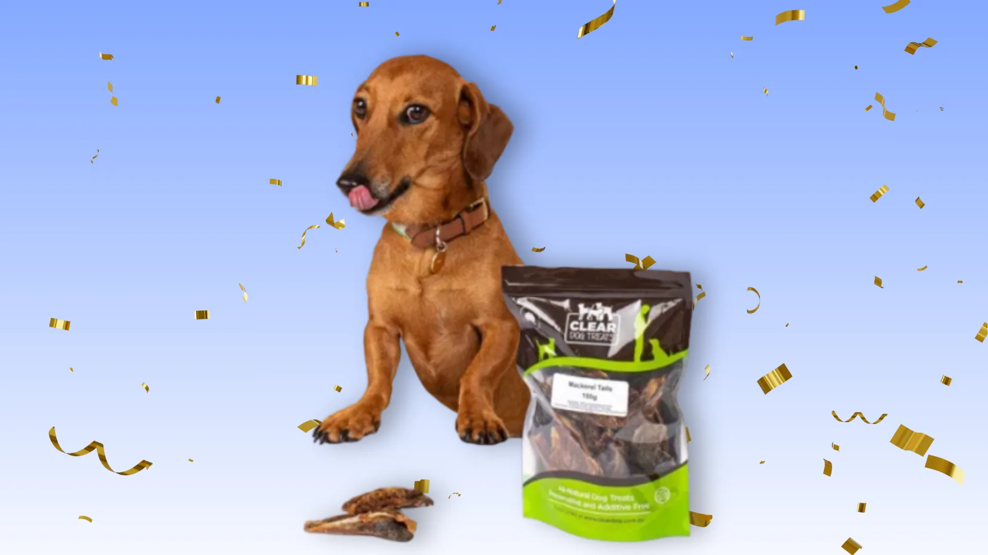Dog with healthy treats