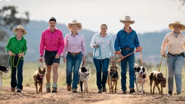 Muster Dogs