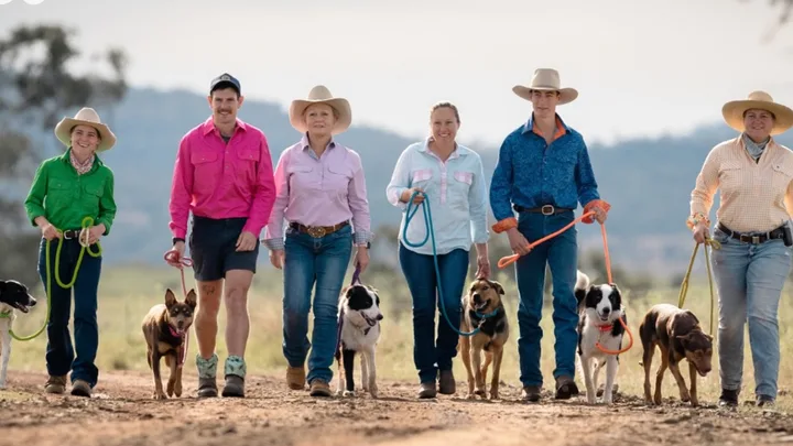 Muster Dogs
