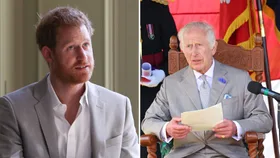Prince Harry King Charles