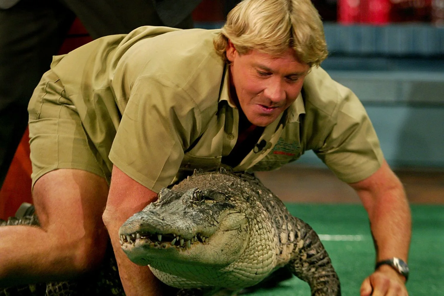 Steve Irwin with a crocodile