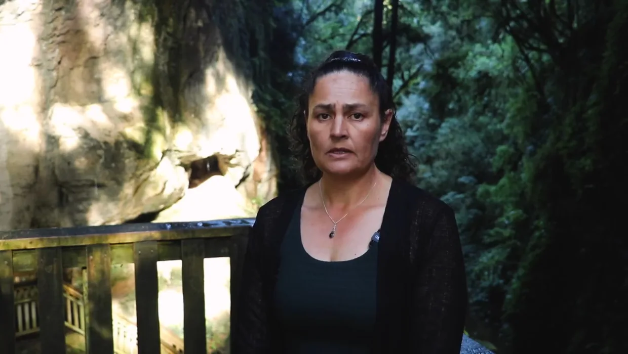 cat nz fugitive family