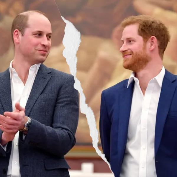 William and Harry torn photo