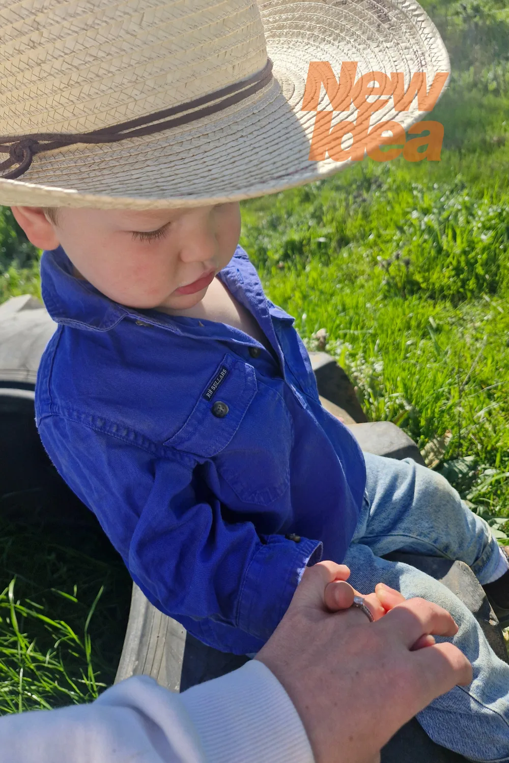 Farmer Wants a Wife Brad Clare